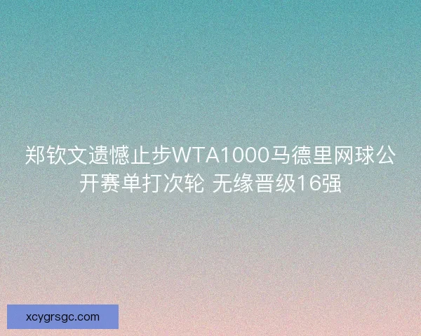 郑钦文遗憾止步WTA1000马德里网球公开赛单打次轮 无缘晋级16强