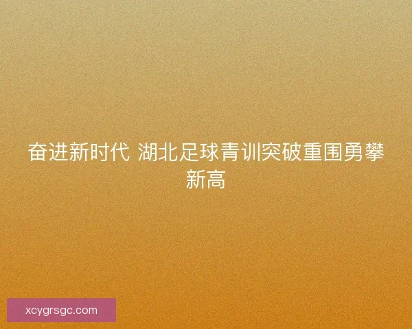 奋进新时代 湖北足球青训突破重围勇攀新高