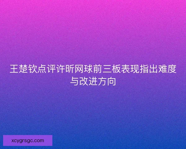 王楚钦点评许昕网球前三板表现指出难度与改进方向 王楚钦点评许昕网球前三板表现指出难度与改进方向