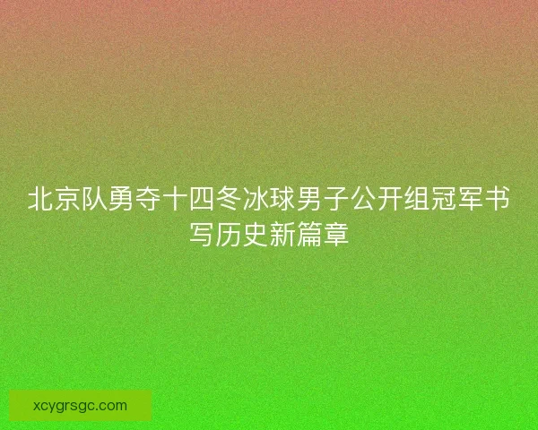 北京队勇夺十四冬冰球男子公开组冠军书写历史新篇章