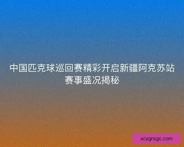 中国匹克球巡回赛精彩开启新疆阿克苏站赛事盛况揭秘